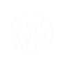 wordpress development